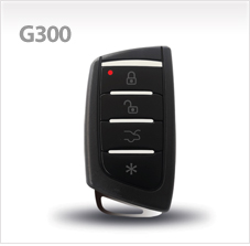 G300